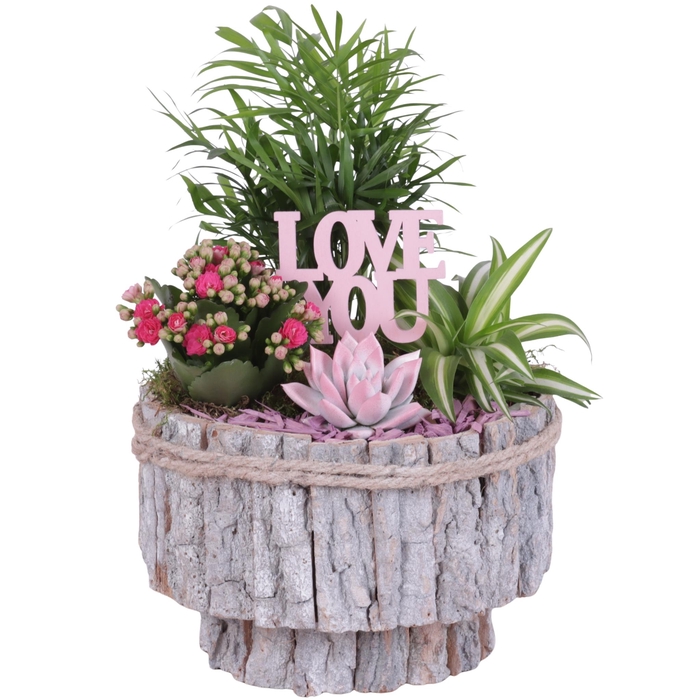 <h4>Mothersday Arr. Indoor Wooden White Bark Pot on Stand Ø24cm 4PP</h4>