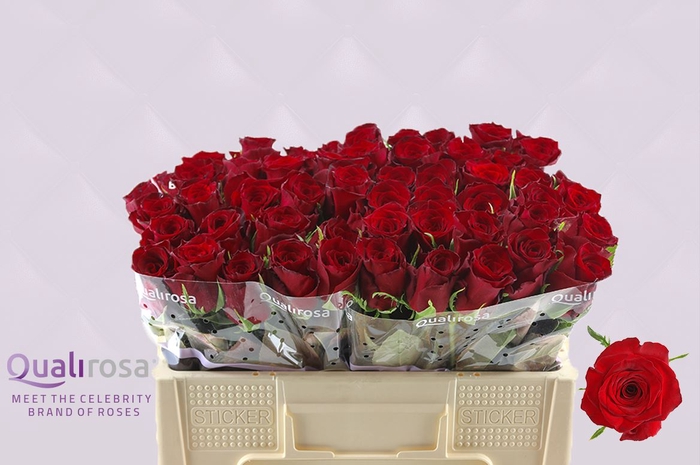 <h4>R Gr Monte Carlo</h4>