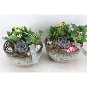 arr2 MB - Ker. schaal sandy 285/5 - roze/wit