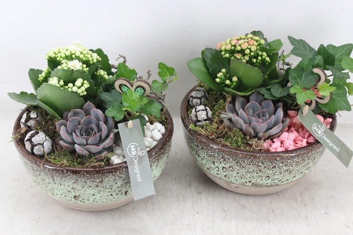 <h4>arr2 MB - Ker. schaal sandy 285/5 - roze/wit</h4>