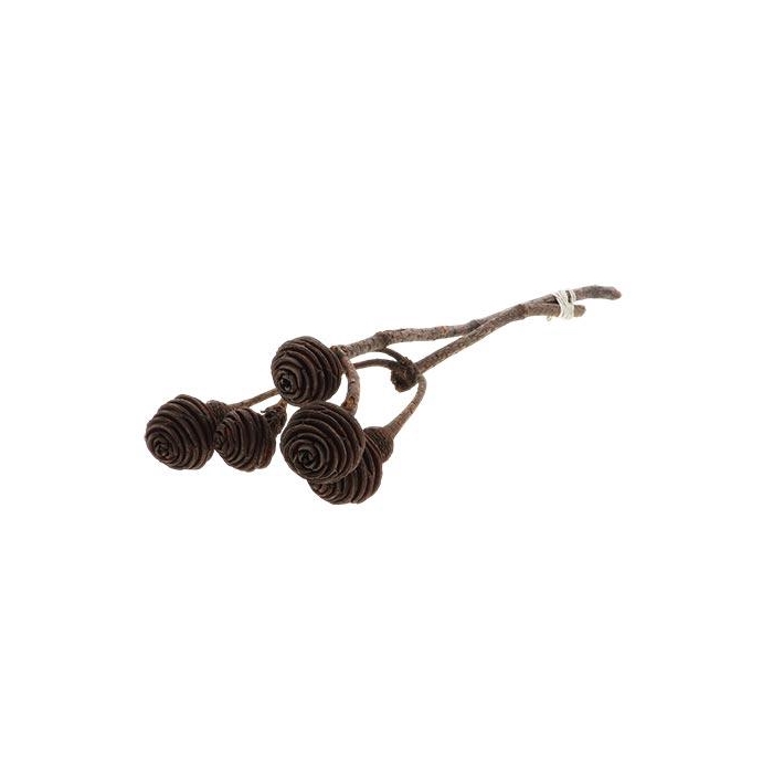 <h4>Bunch Platyspermum 2-3heads 2pcs Slv L35</h4>