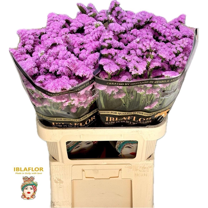 <h4>Lim S Fantasia Wings</h4>