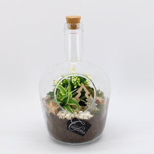 XMAS-24054 Kerst creatie terrarium