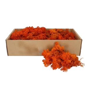 Preserved Rendiermos 400-500g