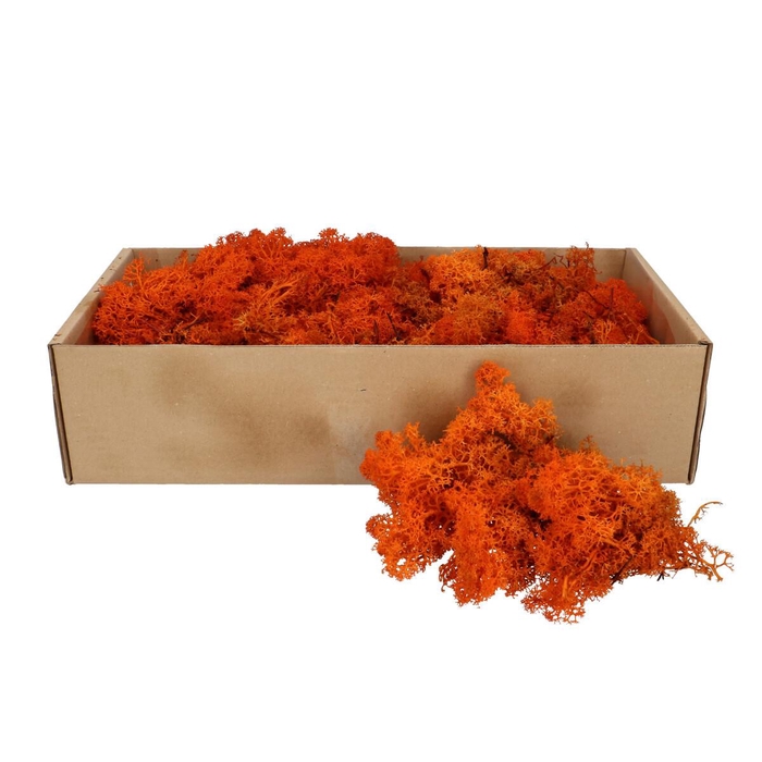 <h4>Preserved Rendiermos 400-500g</h4>