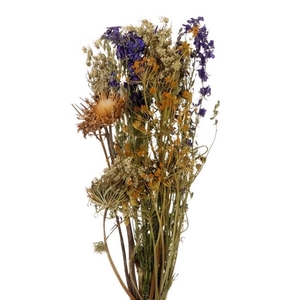 Dried flowers Bouquet Dutch 55cm