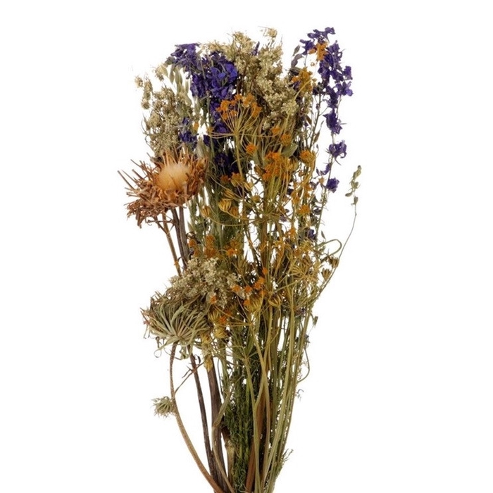 <h4>Dried flowers Bouquet Dutch 55cm</h4>