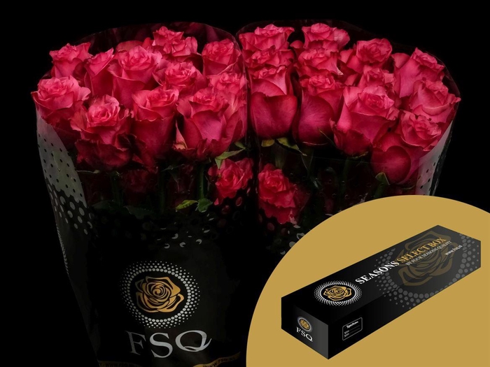 <h4>R GR Lola Box</h4>