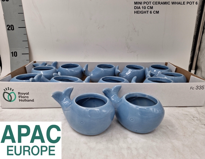 <h4>KERAMISCHE POT H%</h4>