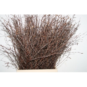 Berk 60cm Naturel Pbs