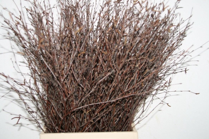 <h4>Berk 60cm Naturel Pbs</h4>