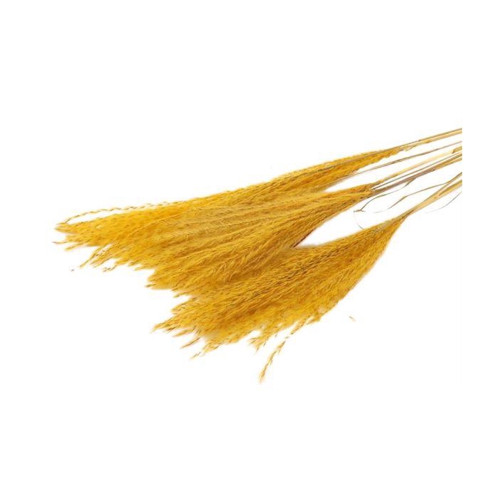 <h4>Bunch Fluffy Silver Grass 10pcs L75</h4>