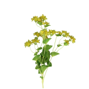 Artificial flowers Bupleurum 75cm