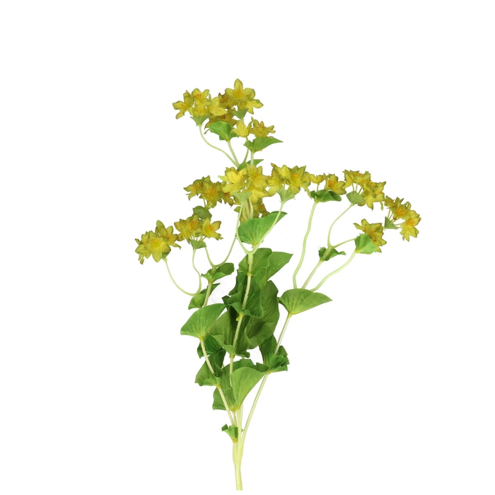 <h4>Artificial flowers Bupleurum 75cm</h4>