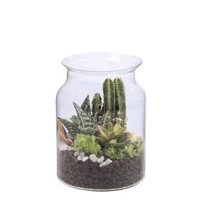 TERRARIUM STYLE GLASS ARRANGEMENT - Ø15 H15 IN SINGLE BOX 16x16 CM (CACTUS EN SUCCULENTEN)