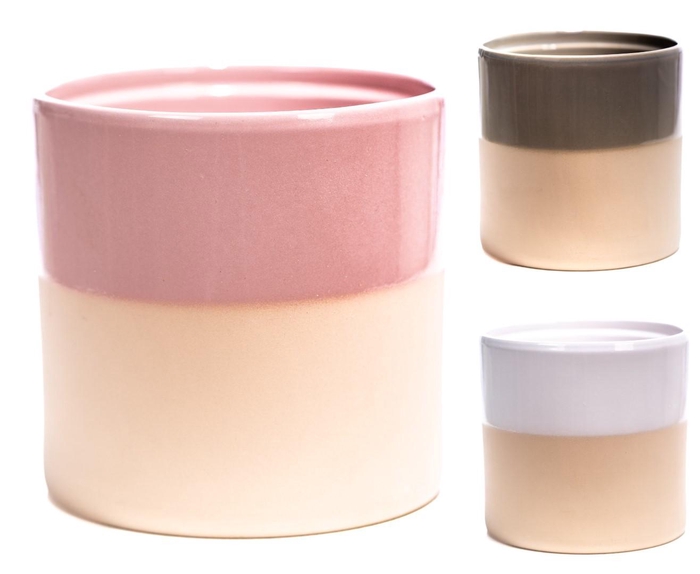 <h4>P&PURE Tess ceramics 3 ass: per volle deen</h4>