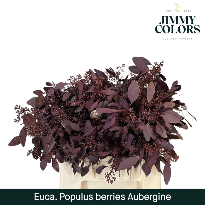 <h4>Pop bes per bos 200g Aubergine</h4>