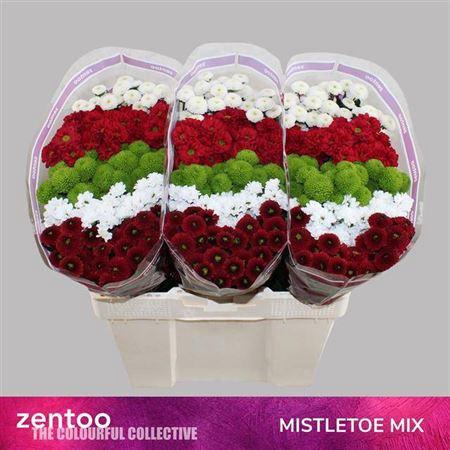 <h4>Chr S Gem Mistletoe Mix</h4>
