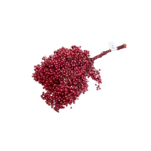 Dried schinus mollis paint red
