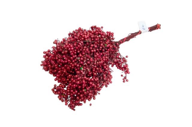 <h4>Dried schinus mollis paint red</h4>