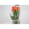 TULIPA LARANJA