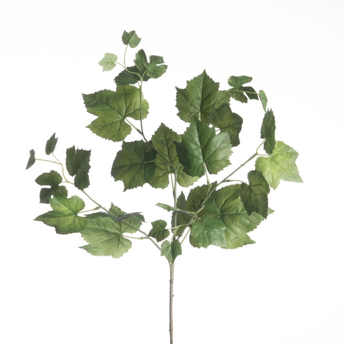 Af Grape Leave Spray L76cm Gre