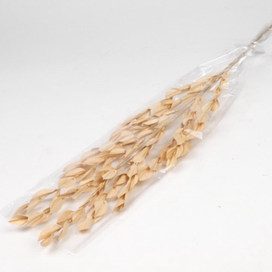 DF Fire Leaves L.Brown Branche