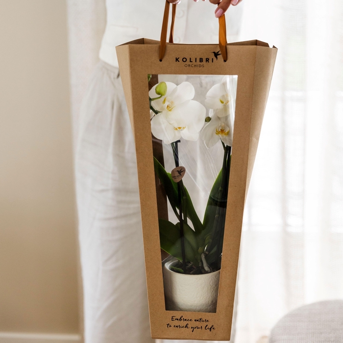 <h4>Kolibri Home Giftbag 9cm</h4>