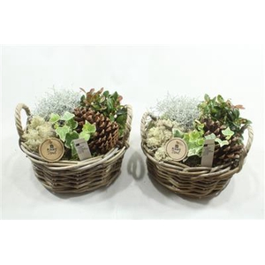 2205 ROND ROTAN MAND BT