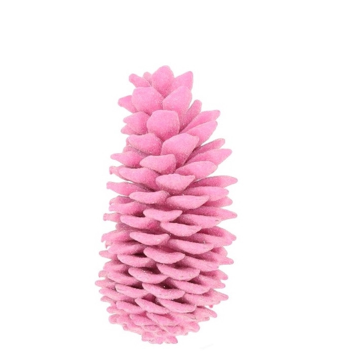 <h4>Dennenappels Sugar pine wax 35cm</h4>