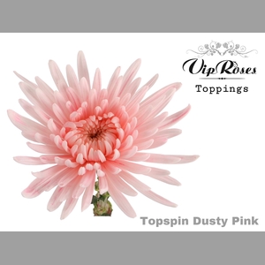 CHR G TOPSPIN DUSTY PINK