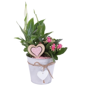 Womensday Arr. Indoor Zinc Grey with Rope & Heart Ø13cm 2PP