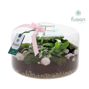 Green Bottle Kyra XLarge met Moederdag arrangement