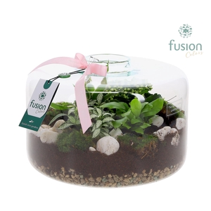 Green Bottle Kyra XLarge met Moederdag arrangement