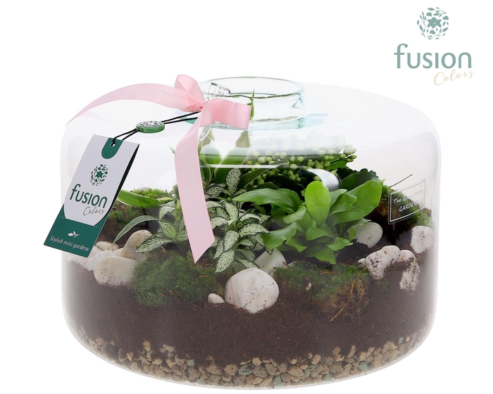 <h4>Green Bottle Kyra XLarge met Moederdag arrangement</h4>