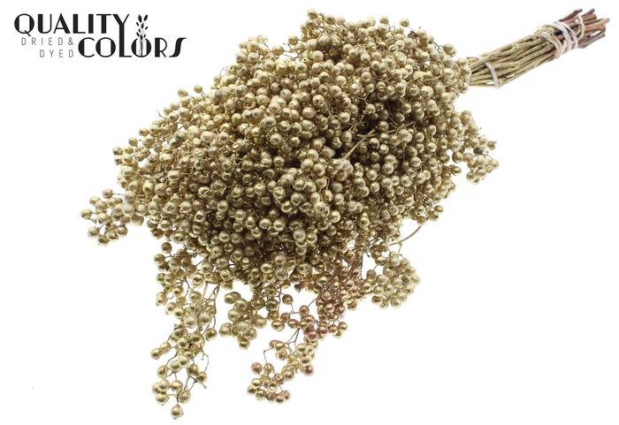 <h4>Dried schinus mollis paint gold</h4>