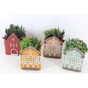 arr3 SN - Casa home mix L x6