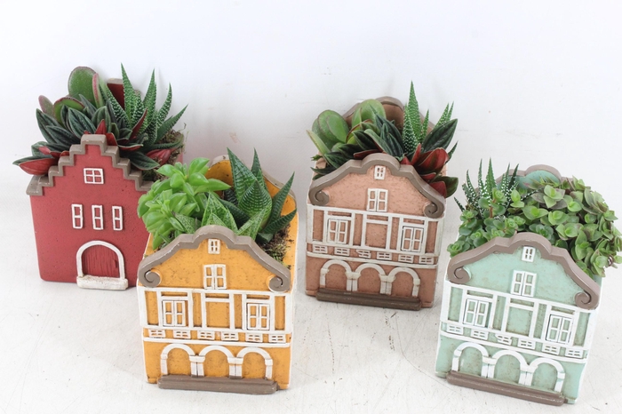 <h4>arr3 SN - Casa home mix L x6</h4>