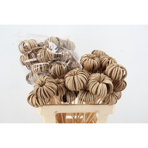 Stick Pumpkin Wood Natural