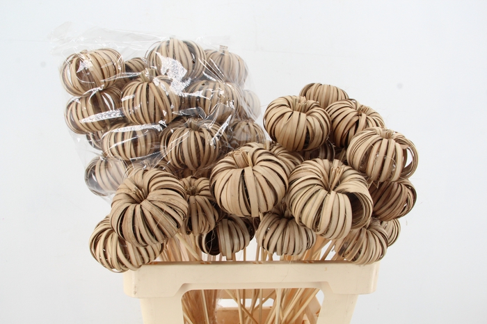 <h4>Stick Pumpkin Wood Natural</h4>