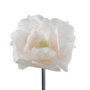 Stem Magnolia Bloom L50w50h40