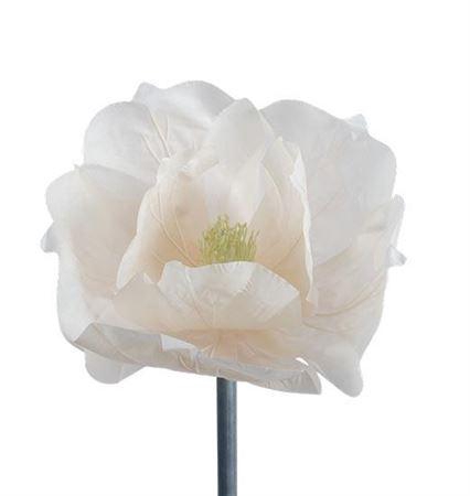 <h4>Stem Magnolia Bloom L50w50h40</h4>