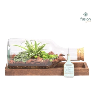 Green Bottle fles liggend small met groene planten