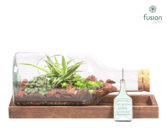 <h4>Green Bottle fles liggend small met groene planten</h4>