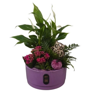 PTHI3216 Arrangement Autumn Indoor in keramiek schaal