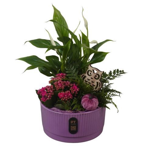 <h4>PTHI3216 Arrangement Autumn Indoor in keramiek schaal</h4>