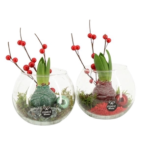 61571: X-mas arrangement