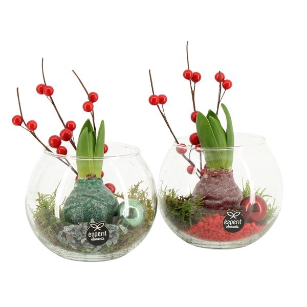 <h4>61571: X-mas arrangement</h4>