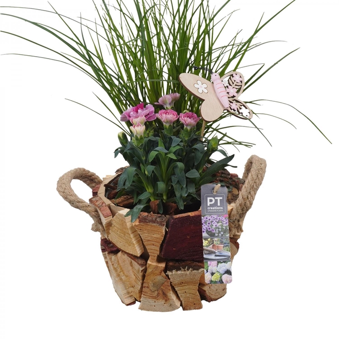 <h4>PTPP6986 Arrangement Patio in houten bak</h4>