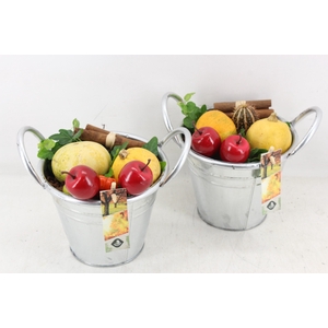 arr4 Sierfruit JS - Zink emmer x6